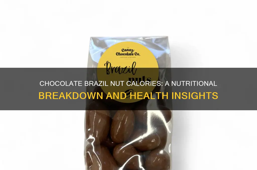 how many calories in a chocolate brazil nut