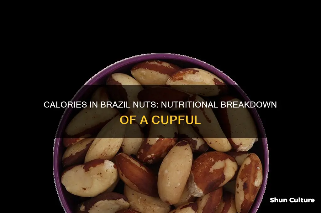 how many calories in a cup of brazil nuts
