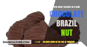 Dark Chocolate Brazil Nut Calorie Count: A Nutritious Indulgence