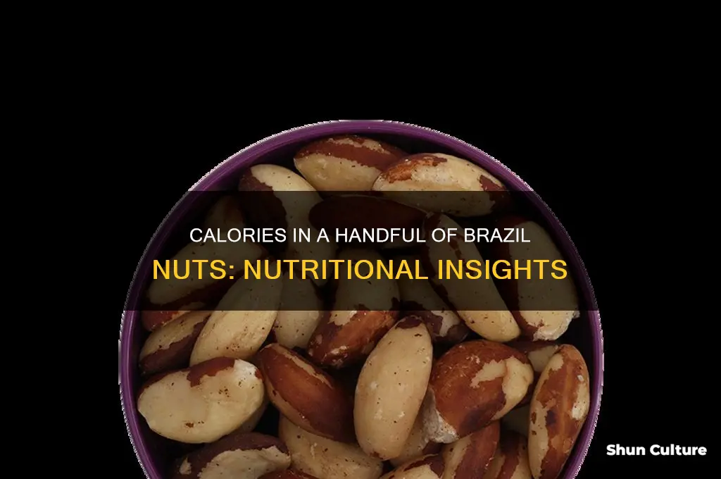 how many calories in a handful of brazil nuts