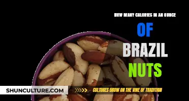 Calories in Brazil Nuts: Nutritional Breakdown of One Ounce