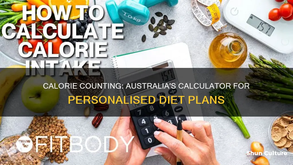 how many calories should I eat calculator australia