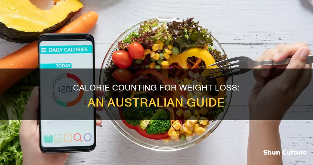 how many calories should I eat to lose weight australia