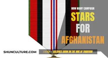 Honoring Afghanistan Veterans: Unveiling the Campaign Stars