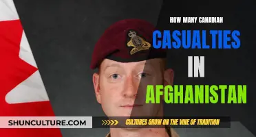 A Grim Toll: Canadian Casualties in Afghanistan