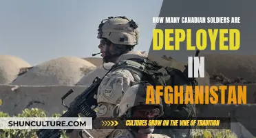 Canadian Forces' Commitment in Afghanistan: Examining the Numbers