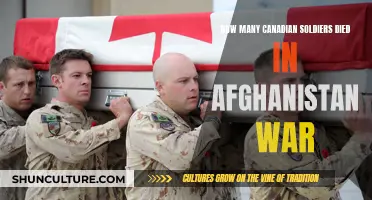 Canadian Sacrifice in the Afghan War: Counting the Cost