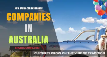 Car Insurance Companies in Australia: How Many Exist?