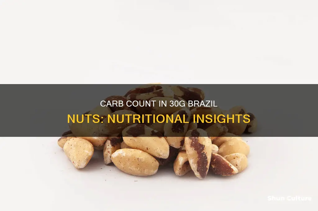 how many carbs in brazil nuts 30 grams