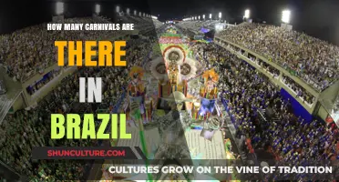 Exploring Brazil's Vibrant Carnival Scene: A Comprehensive Count and Guide