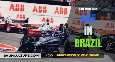 Exploring Brazil's Automotive Landscape: Total Cars on the Road