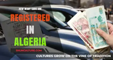 Algeria's Registered Vehicles: Unveiling the Country's Automotive Statistics