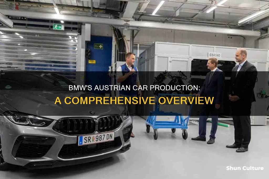 how many cars does bmw make in austria