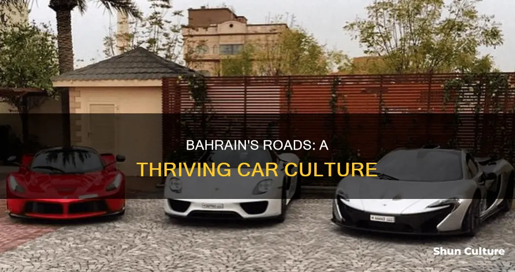 how many cars in bahrain