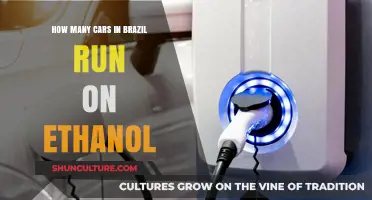 Brazil's Ethanol-Powered Fleet: How Many Cars Run on Biofuel?