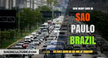 Exploring São Paulo's Traffic: How Many Cars Fill Brazil's Megacity?