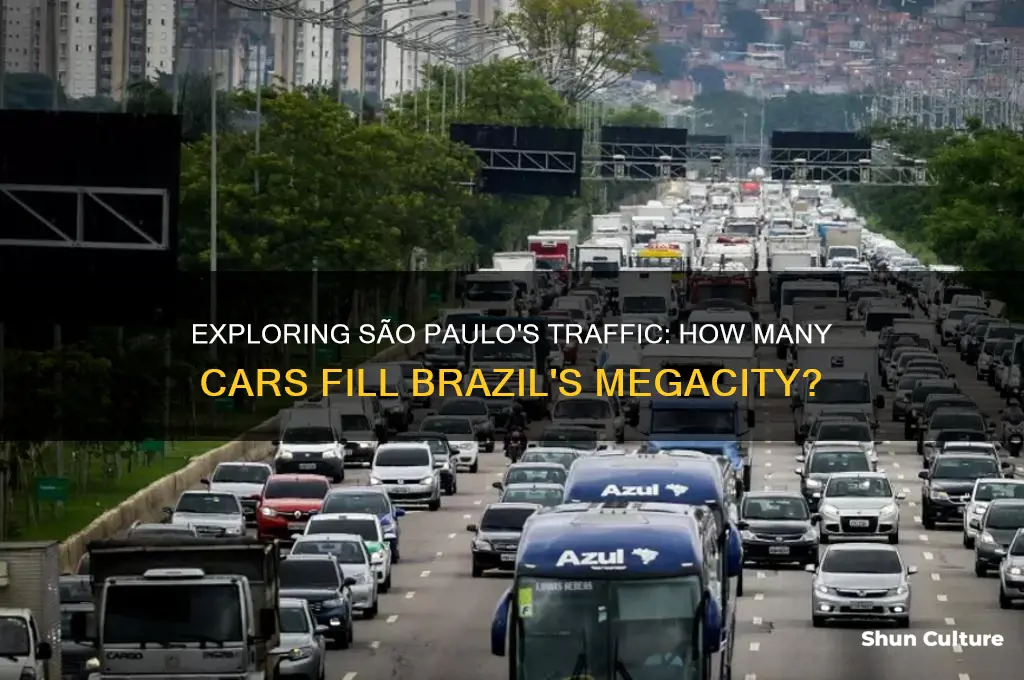 how many cars in sao paulo brazil