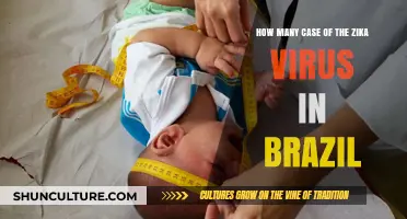 Zika Virus Cases in Brazil: Current Statistics and Trends
