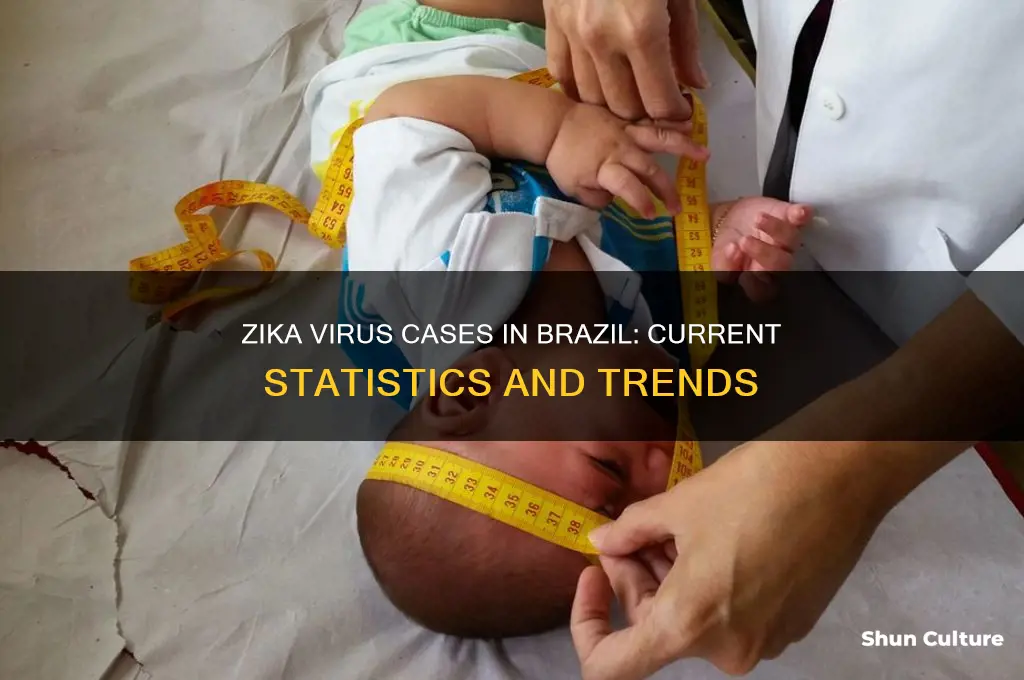 how many case of the zika virus in brazil