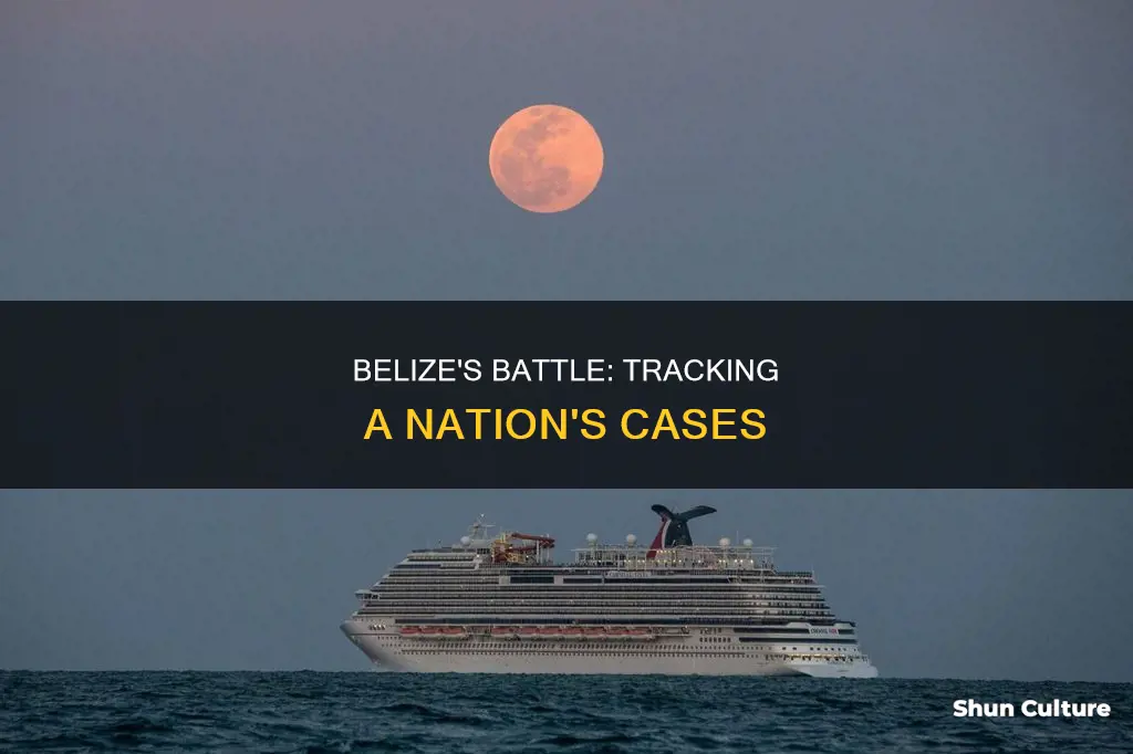 how many cases in belize