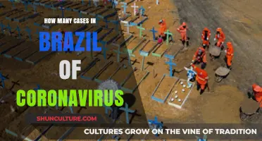 Brazil's COVID-19 Surge: Tracking Coronavirus Cases and Trends