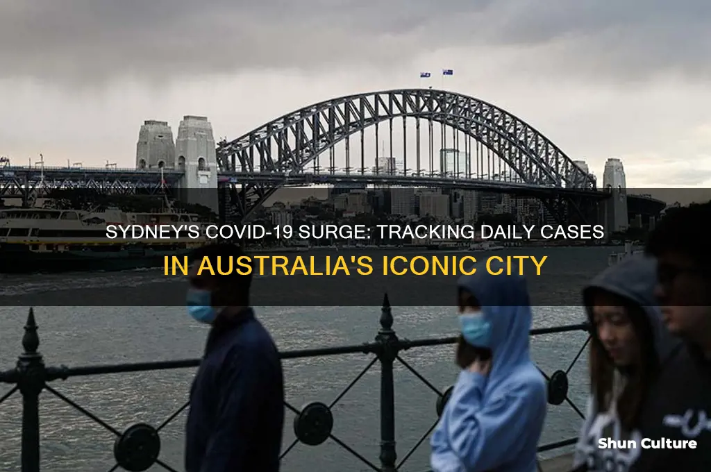 how many cases in sydney australia