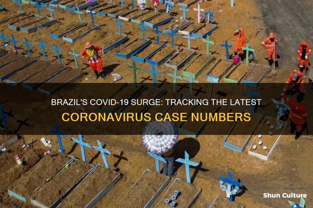 how many cases of corona in brazil
