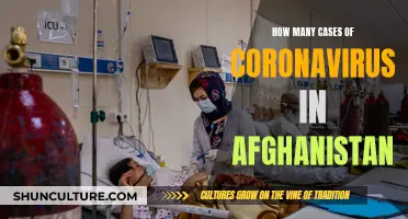 Afghanistan's COVID-19 Crisis: A Nation Grappling with a Hidden Pandemic