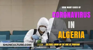 Tracking Algeria's COVID-19 Cases: Latest Updates and Statistics