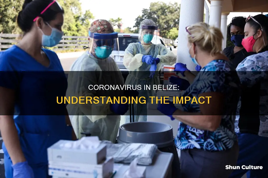 how many cases of coronavirus in belize