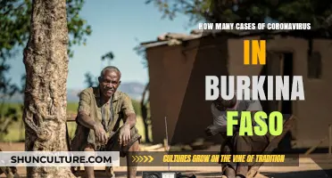 Coronavirus in Burkina Faso: Tracking the Latest Case Numbers