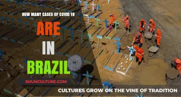 Brazil's COVID-19 Cases: Current Statistics and Updates