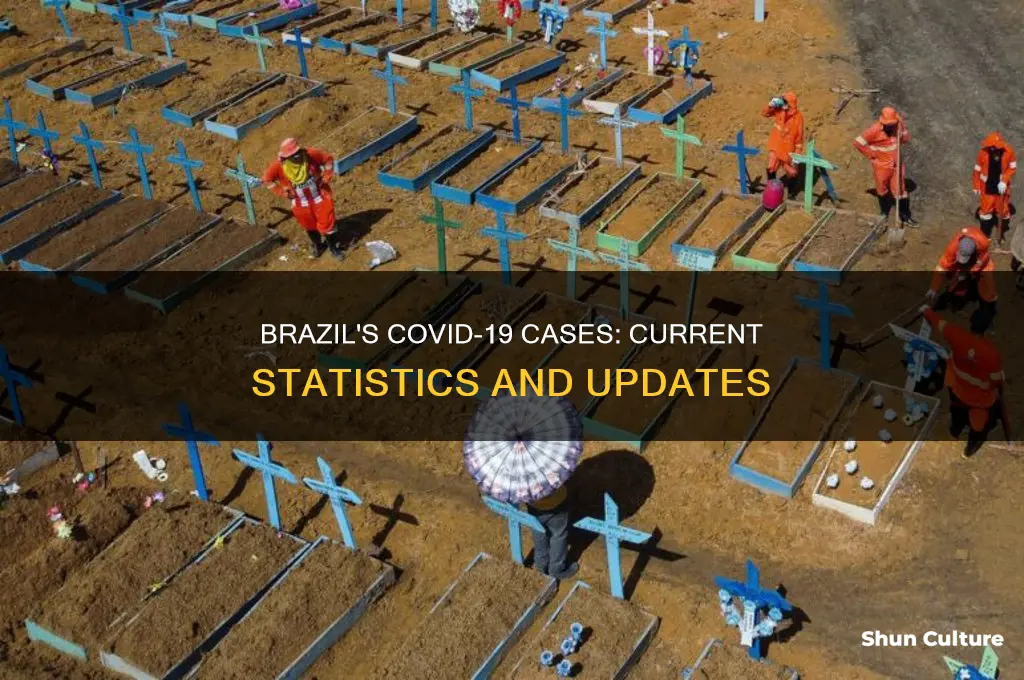 how many cases of covid 19 are in brazil