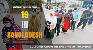 COVID-19 in Bangladesh: Tracking the Latest Case Numbers and Trends