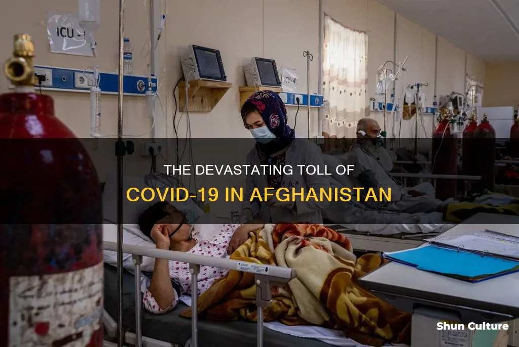 how many cases of covid in afghanistan