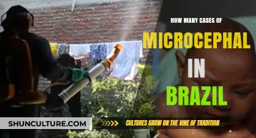 Brazil's Microcephaly Cases: Understanding the Zika Virus Impact