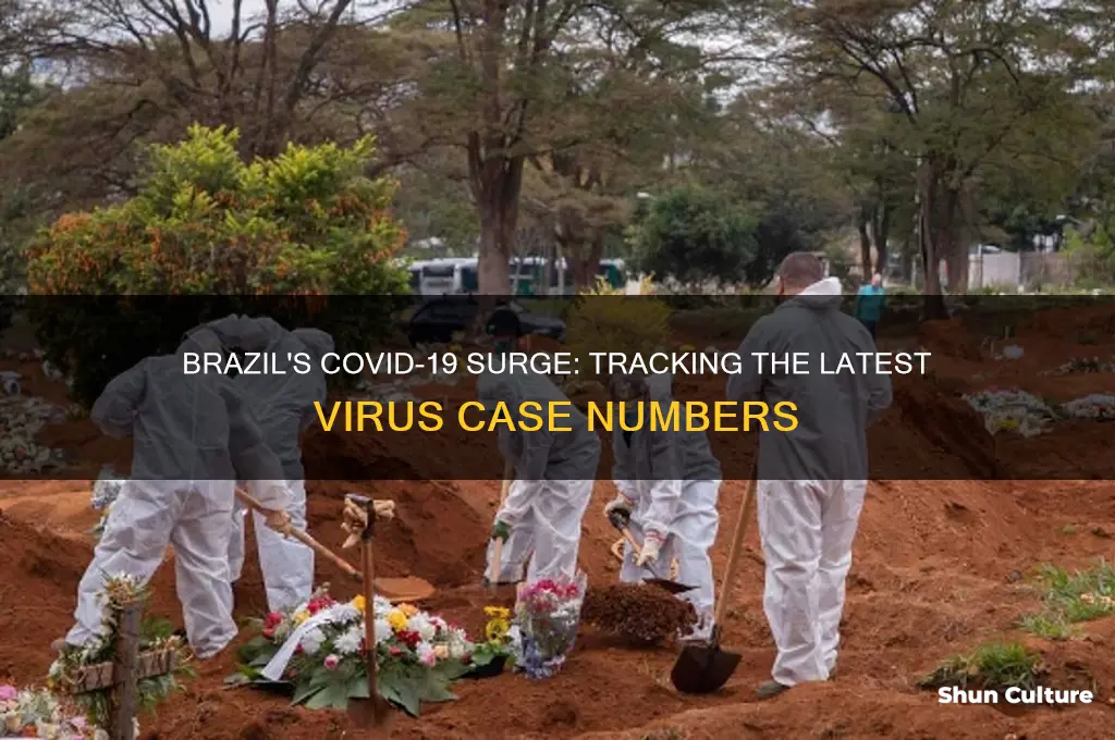 how many cases of the virus in brazil