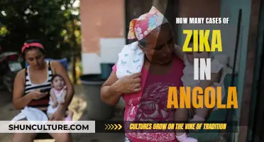 Zika Virus in Angola: Tracking the Cases