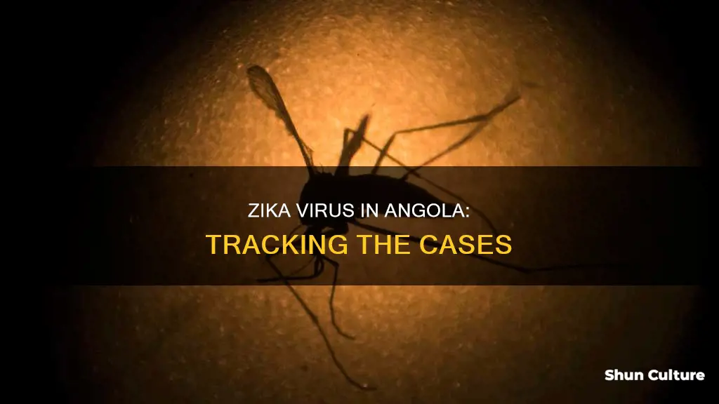 how many cases of zika in angola