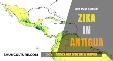 Zika Virus Cases in Antigua: Current Statistics and Updates