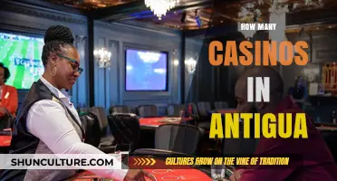 Exploring Antigua's Casino Scene: A Comprehensive Guide to Gaming Venues