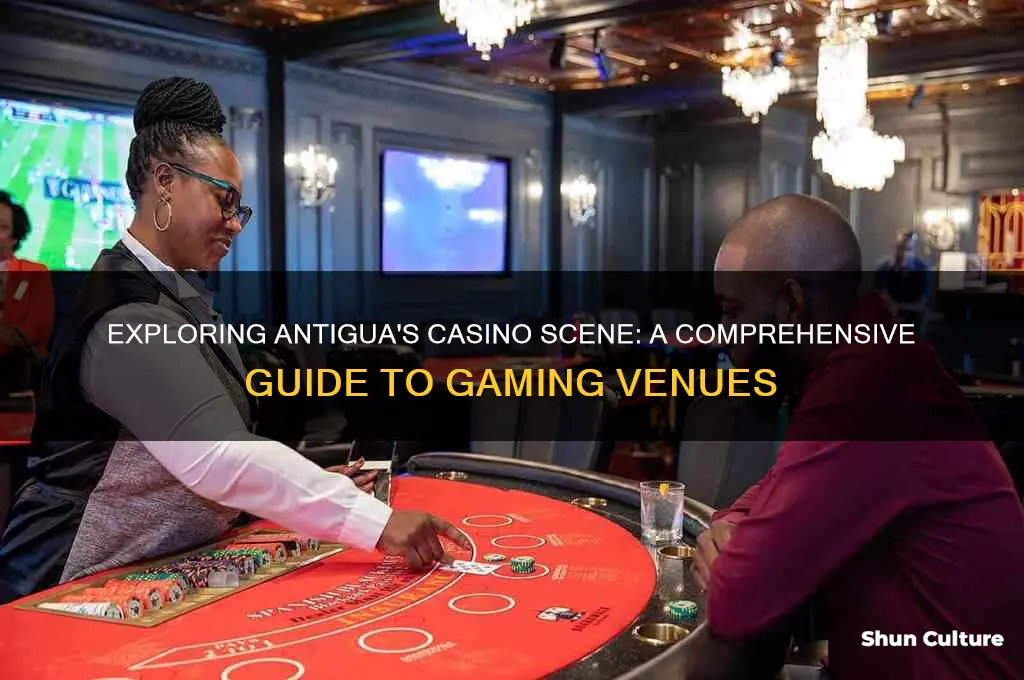 how many casinos in antigua