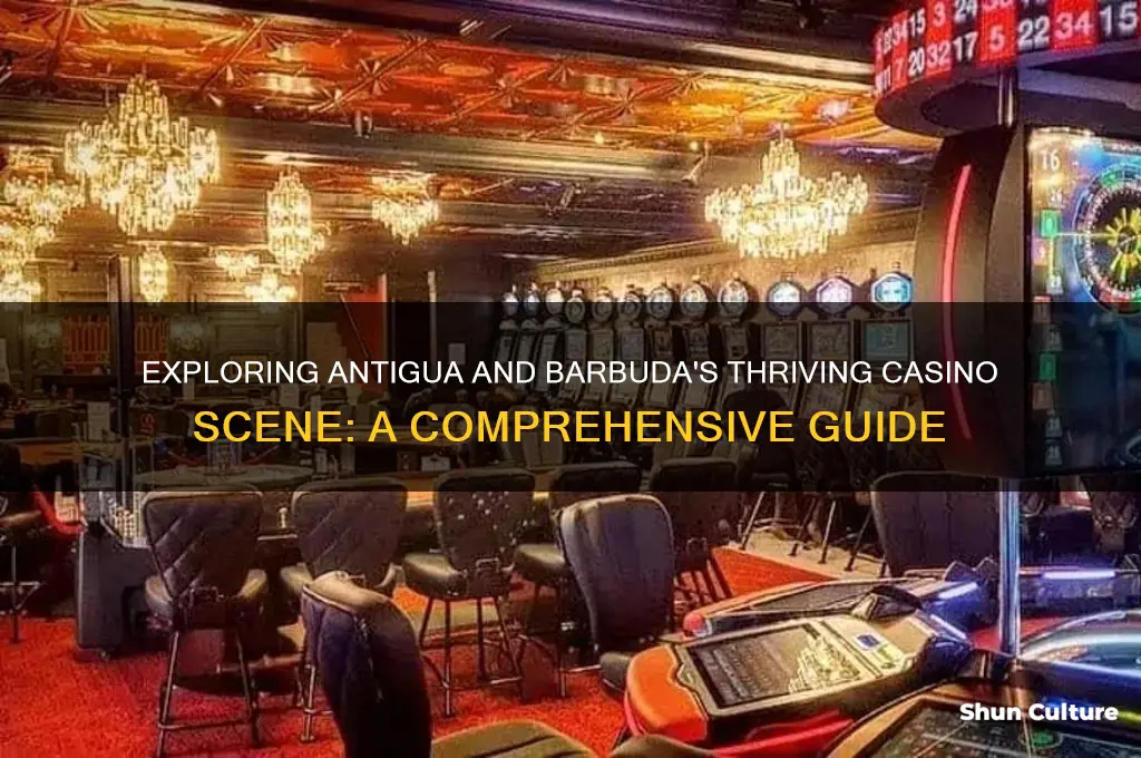 how many casinos on antigua and barbuda