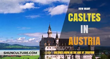 Austria's Castle Count: A Journey Through Time and Stone