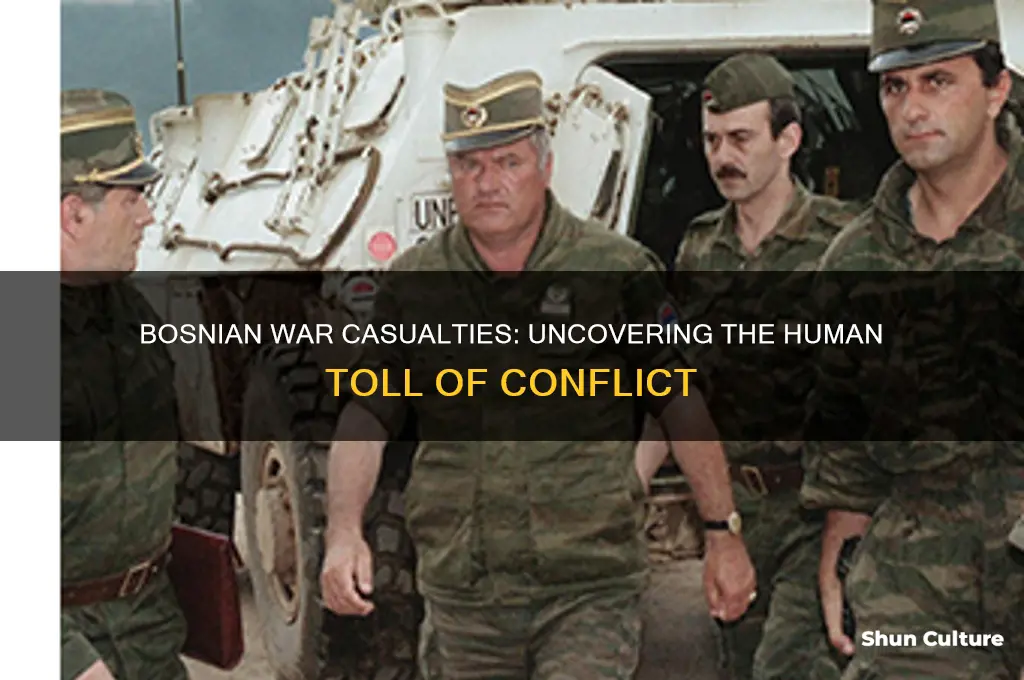 how many casualties in bosnian war