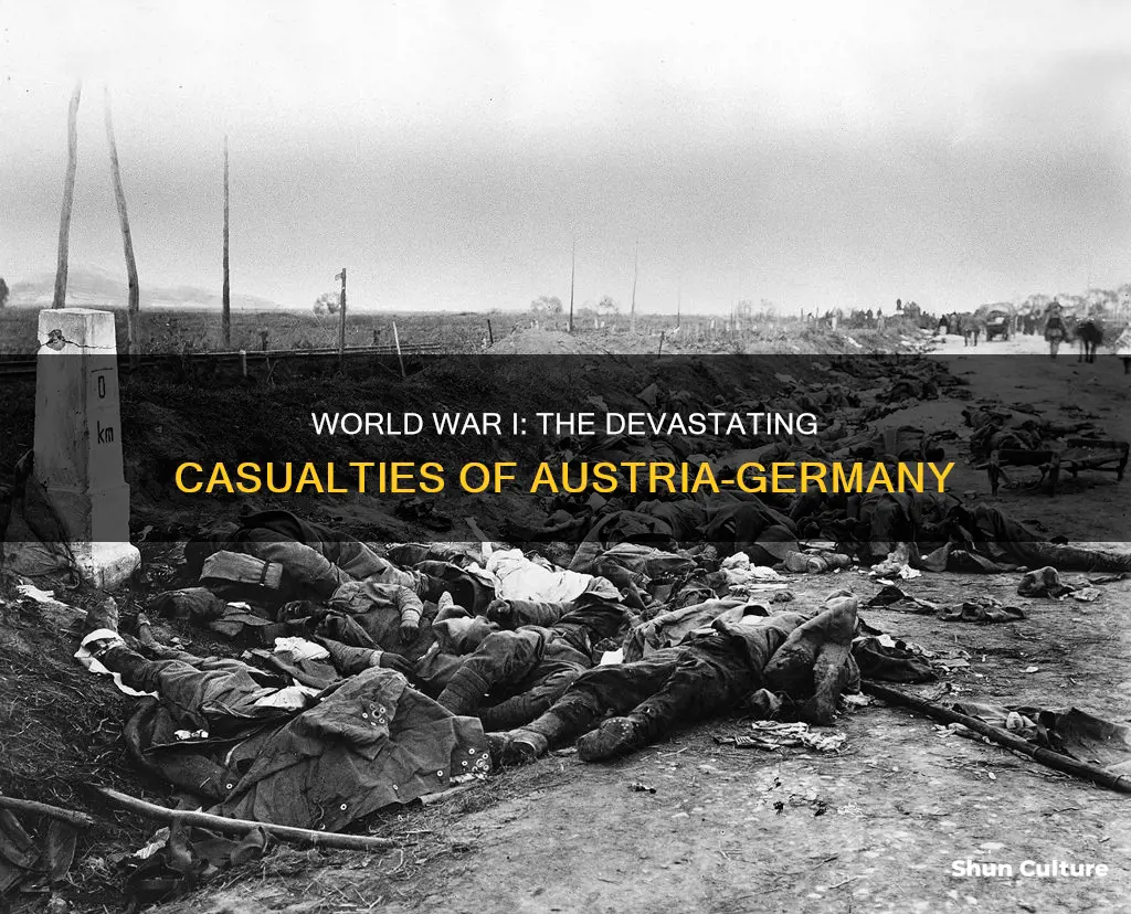 how many casualties in ww1 austria germany