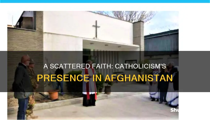 how many catholic churches in afghanistan