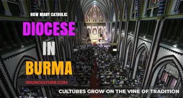 Exploring the Catholic Church's Presence in Burma: A Diocesan Overview