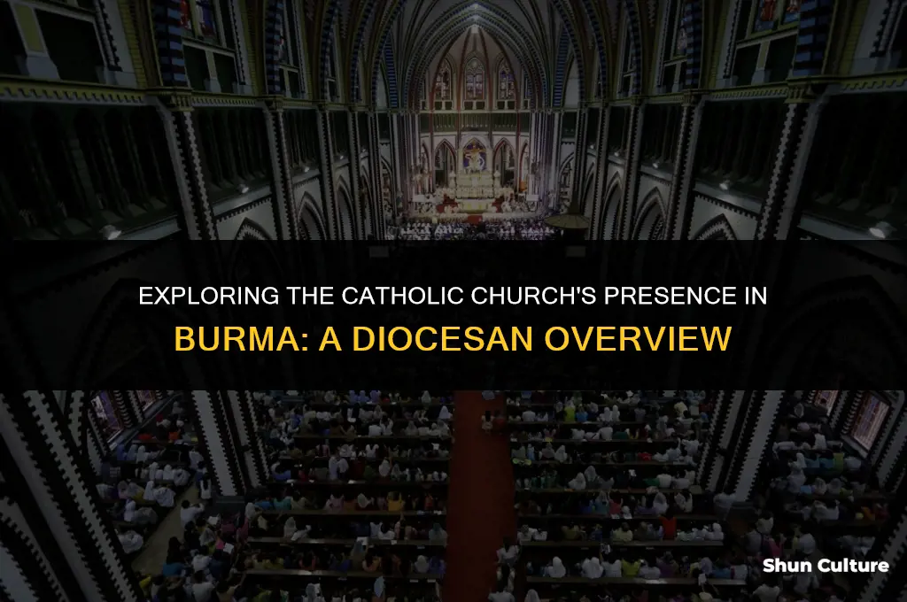 how many catholic diocese in burma