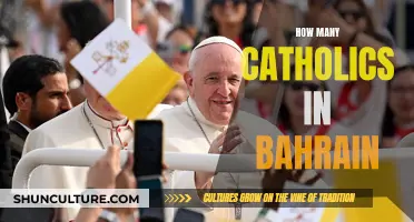 Catholics in Bahrain: A Significant Minority